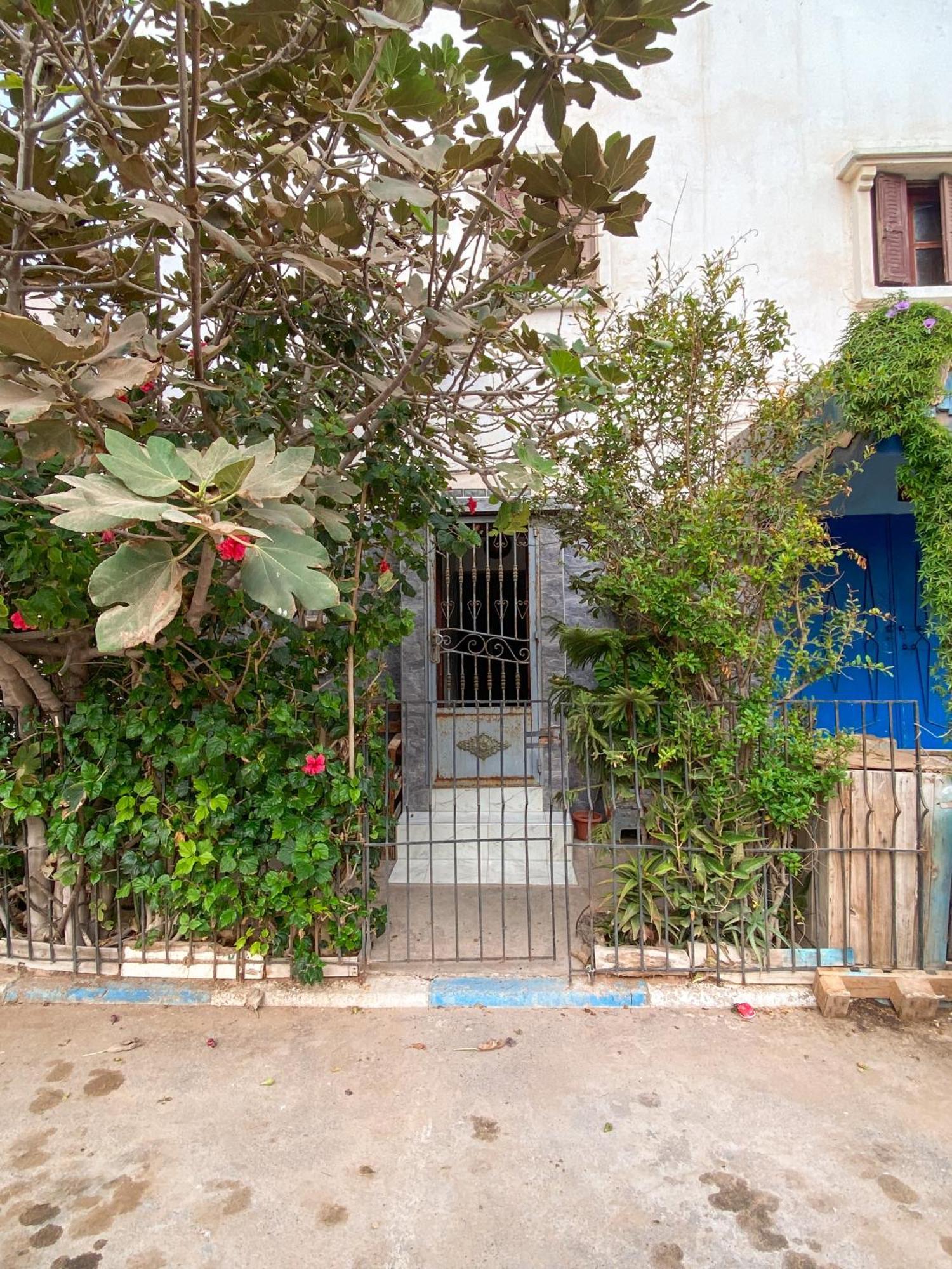 Dallas Private Surf Apartment Agadir Buitenkant foto